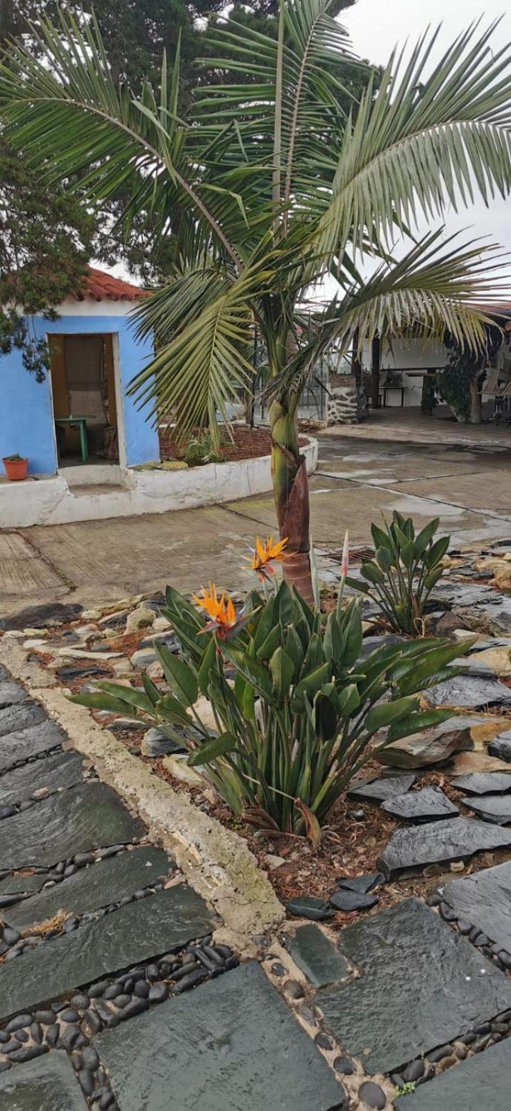 Firgas Casa La Calderaヴィラ 部屋 写真
